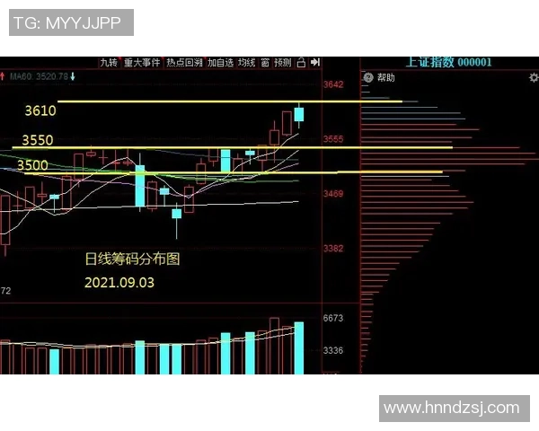 深圳篮球队的节奏革新探索与未来发展路径分析